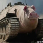 用户名7891的头像-欢迎来到-北京市兴海学校论坛 - Powered by xinghai.ltd