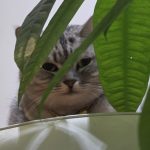 gkszz的头像-欢迎来到-北京市兴海学校论坛 - Powered by xinghai.ltd